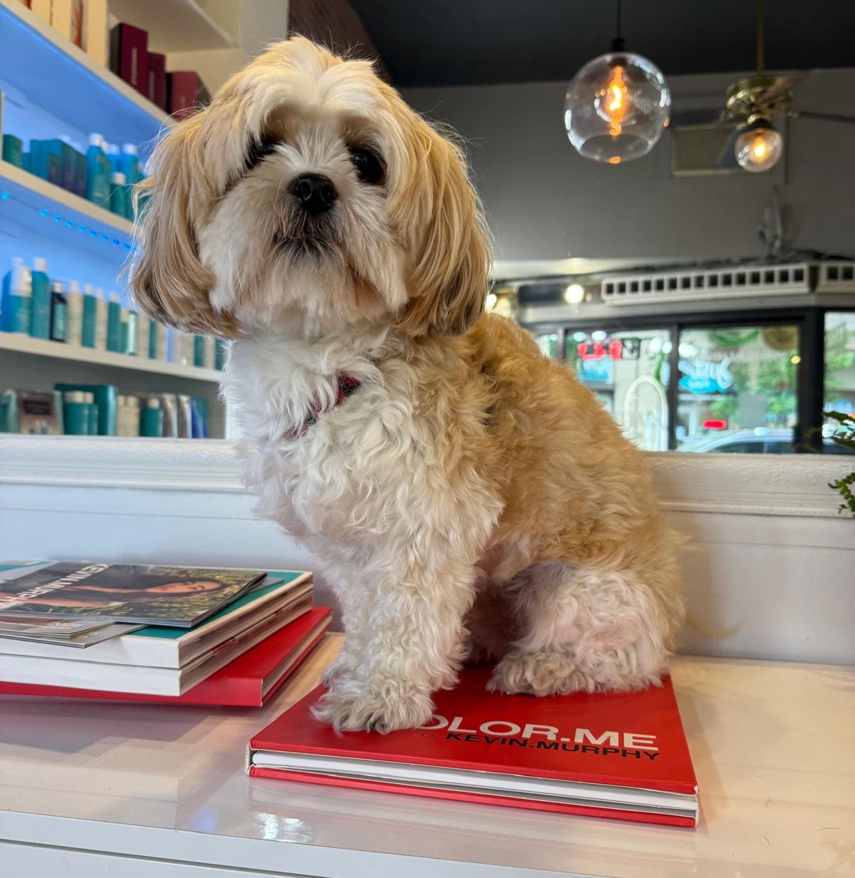 Elegant facial treatment and skincare results